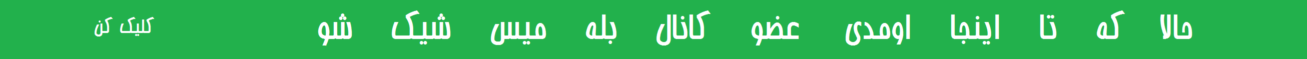 بله کامپیوتر 